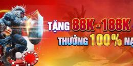 hướng dẫn sử dụng trực tiếp đá gà 6/6