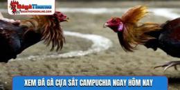 hướng dẫn sử dụng truc tiep da ga cua sat campuchia