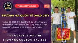 hướng dẫn sử dụng trực tiếp đá gà gold city hôm nay