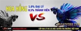 hướng dẫn sử dụng trực tiếp đá gà hôm nay sv3888.bet