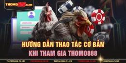 hướng dẫn sử dụng trực tiếp đá gà thomo88