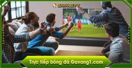 hướng dẫn sử dụng trực tiếp đá gà tivi