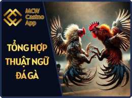 hướng dẫn sử dụng tường thuật đá gà casino