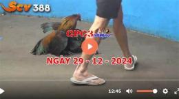 hướng dẫn sử dụng tuong thuat da ga cpc3