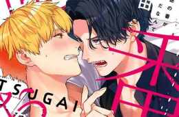 hướng dẫn sử dụng unmei no tsugai ga omae da nante cd