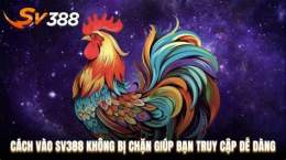 hướng dẫn sử dụng vao da ga sv khong bi chan
