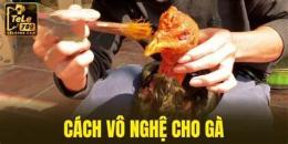 hướng dẫn sử dụng vô nghệ cho gà đá