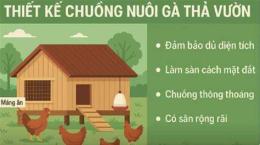 hướng dẫn sử dụng xay chuong nuoi ga da