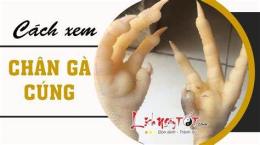 hướng dẫn sử dụng xem chan ga da
