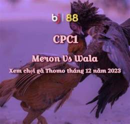 hướng dẫn sử dụng xem đá gà cpc1
