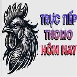 hướng dẫn sử dụng xem da ga thomohomnay