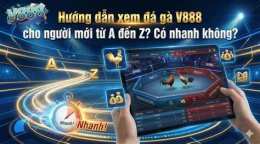 hướng dẫn sử dụng xem đá gà trực tiếp dakpo 888