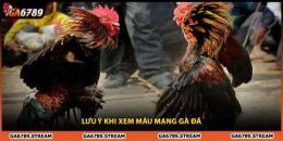 hướng dẫn sử dụng xem ga da theo ngay