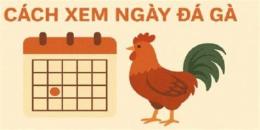 hướng dẫn sử dụng xem ngay da ga cua sat