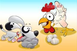 hướng dẫn sử dụng ý nghĩa câu chó ăn đá gà ăn sỏi