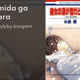 kanojo no namida ga yuki da toshitara