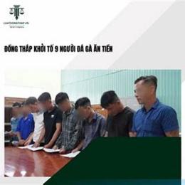 khởi tố đá gà