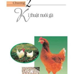 ki thuat nuoi ga da