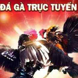 kinh nghiem da ga truc tuyen