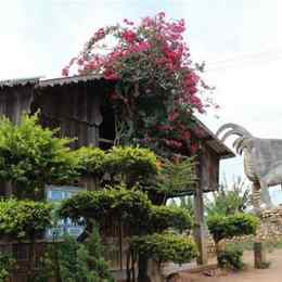 làng gà đà lạt