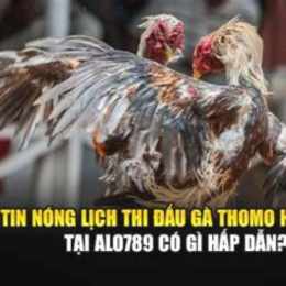 lich da ga thomo hom nay