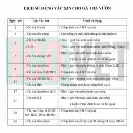 lịch vacxin cho gà đá