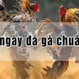 lịch xem ngày đá gà