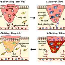 liệu trình phục hồi da gà spa