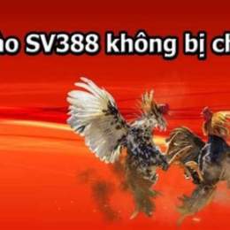 link vào đá gà