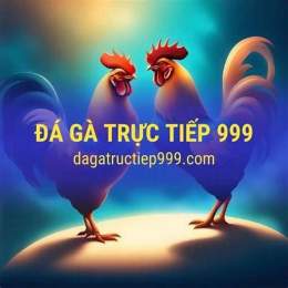link vn999 trực tiếp đá gà thomo