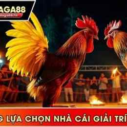live đá gà trực tiếp 88