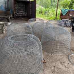 lồng gà đá