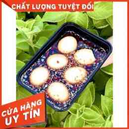 luộc trứng gà lòng đào