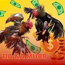 mu88 đá gà