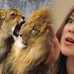 mỹ nữ đanh đá gả cho đoàn trưởng cực phẩm