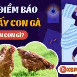 nằm mơ thấy đá gà đánh số gì