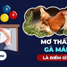 nằm mơ thấy gà đá đánh số mấy