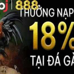 nạp tiền đá gà thomo