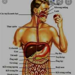 ngâm chân gà nước đá giòn