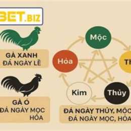 ngày giờ màu mạng gà đá