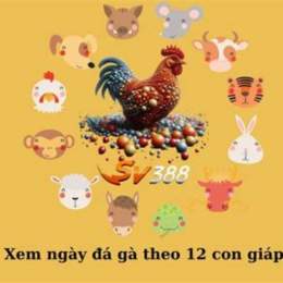 ngày mậu tý đá gà gì