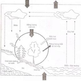 nhà nước man-ga-đa được hình thành như thế nào