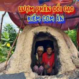 ở nơi chó ăn đá gà ăn sỏi