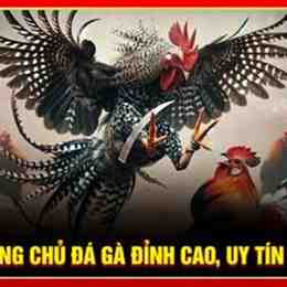 phần mềm hack đá gà trực tuyến