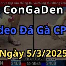 phat lai da ga c2 hom qua