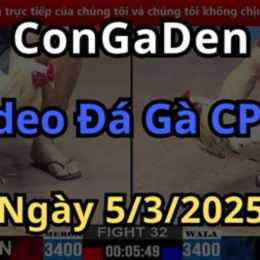 phat lai da ga hom nay cpc3