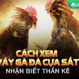 phep xem vay ga da cua sat