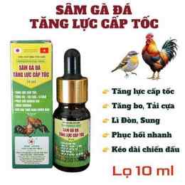 sâm gà đá tăng lực cấp tốc