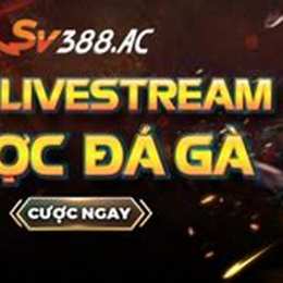 sv388 đá gà thomo one