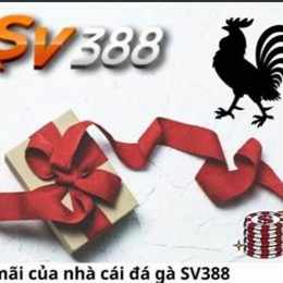 sv388 da ga tot nhat vn